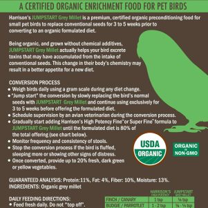 Jumpstart Grey Millet Copy