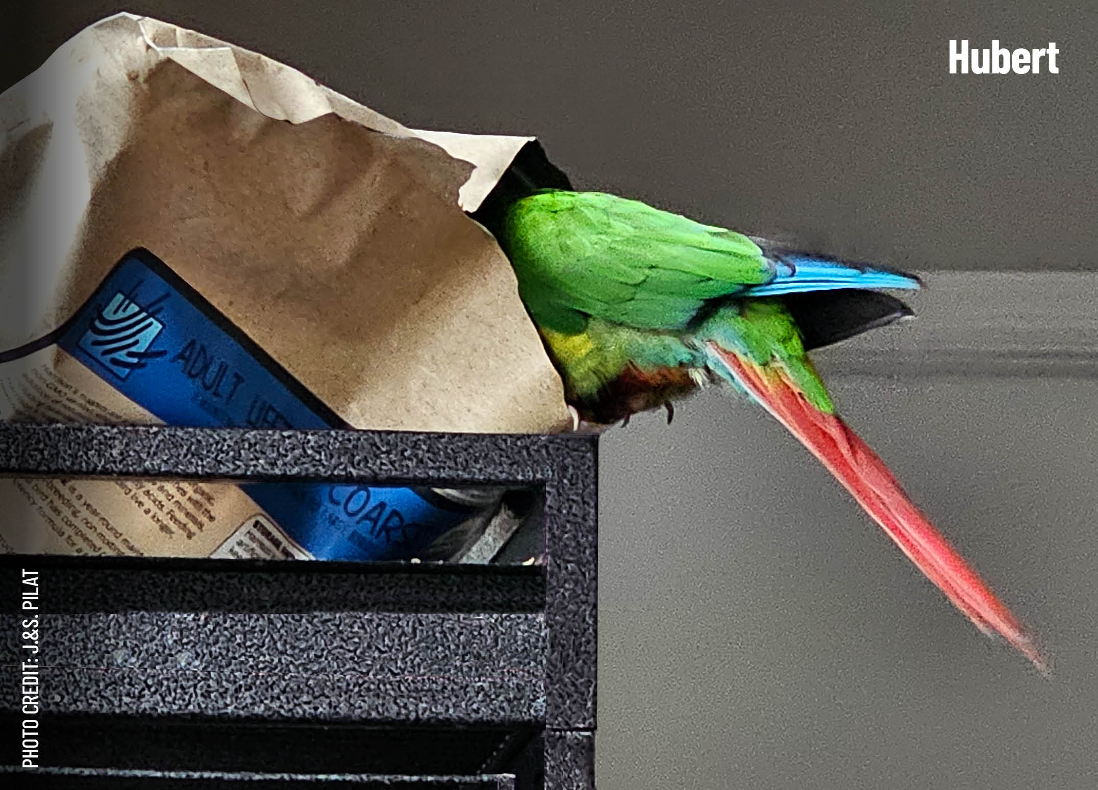 Hubert