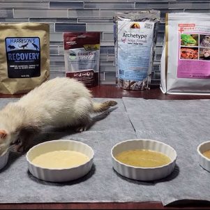 recoveryformula v1overlay