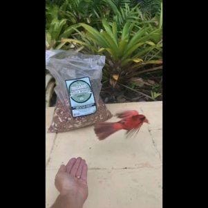 HopperTopperCertifiedOrganic10lbVideo1 1