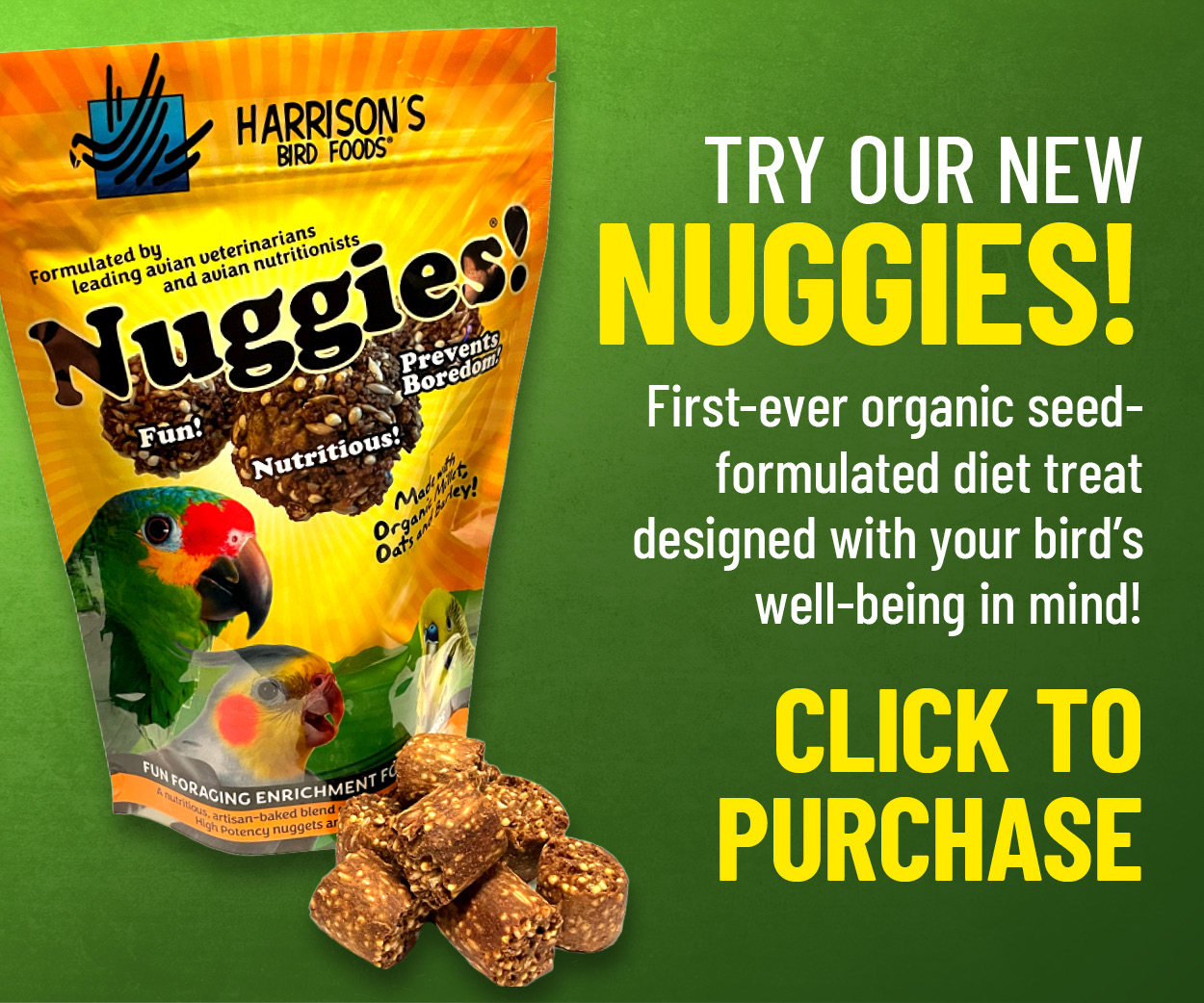 New Nuggies Popup Nov25