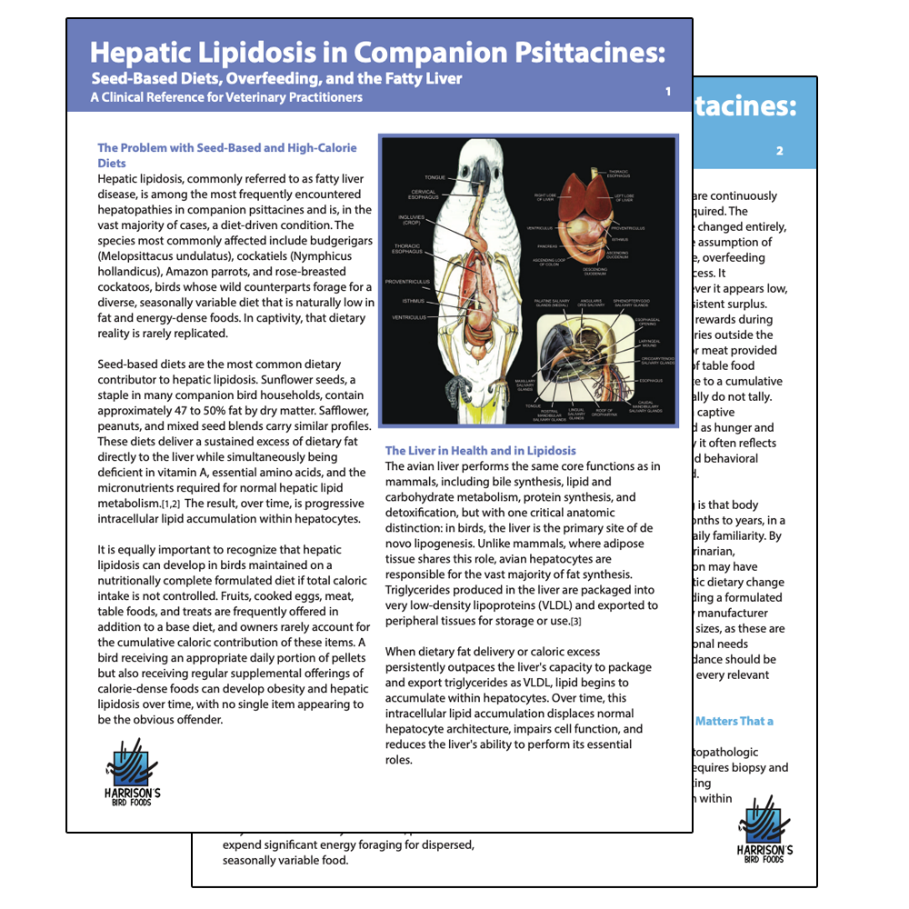 LC Hepatic