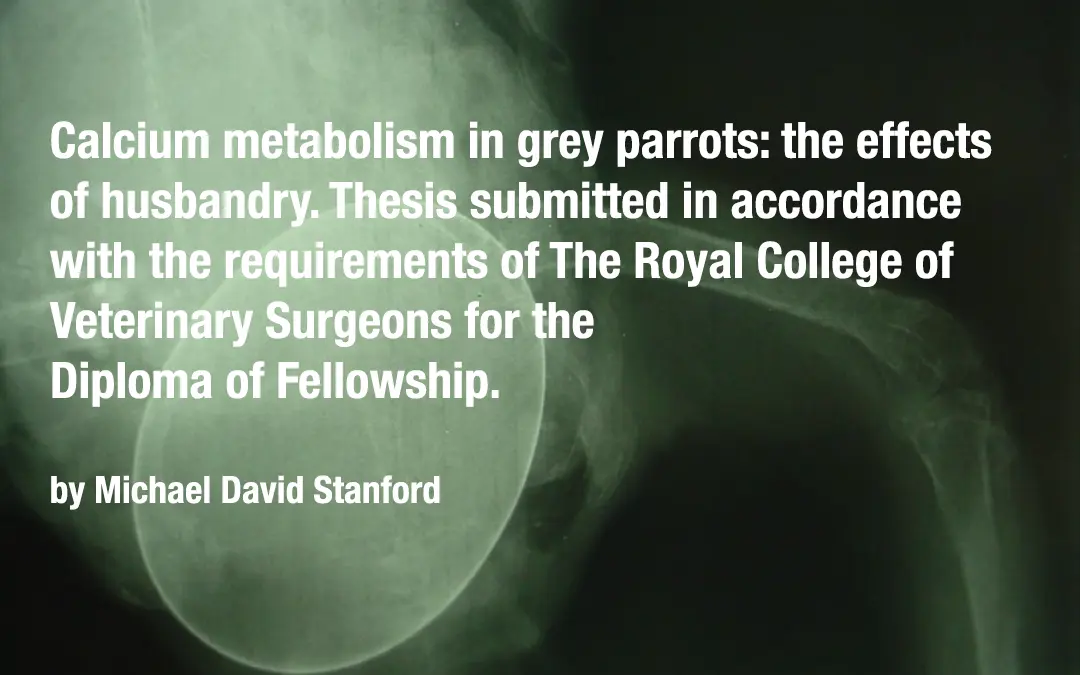 Calcium metabolism in grey parrots: the effects of husbandry.