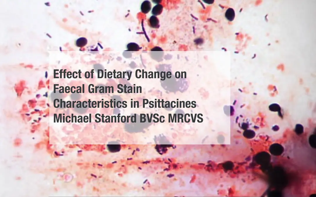Effect of Dietary Change on Faecal Gram Stain Characteristics in Psittacines