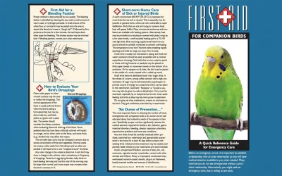 FIRST AID FOR COMPANION BIRDS