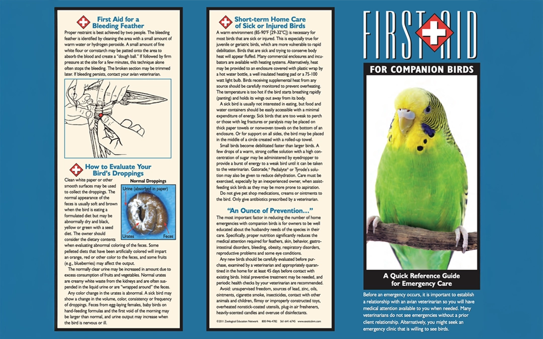 FIRST AID FOR COMPANION BIRDS