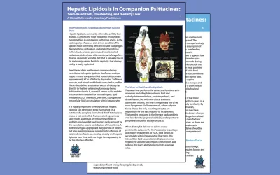 Hepatic Lipidosis in Companion Psittacines: Seed-Based Diets, Overfeeding, and the Fatty Liver