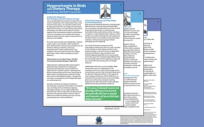 Hyperuricemia in Birds and Dietary Therapy