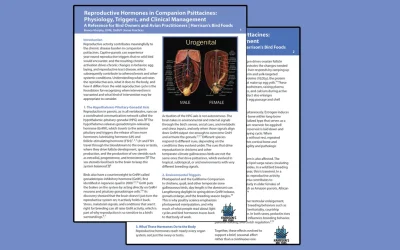 Reproductive Hormones in Companion Psittacines: Physiology, Triggers, and Clinical Management
