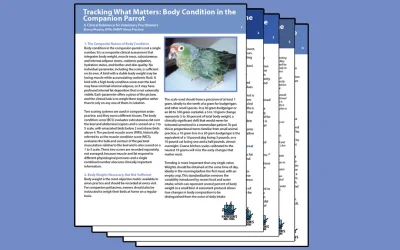 Tracking What Matters: Body Condition in the Companion Parrot