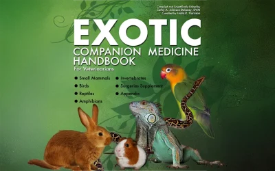 Exotic Companion Medicine Handbook: A Reference Guide for Veterinary Professionals