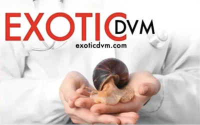 ExoticDVM Publications: A Lasting Resource for Exotic Animal Veterinary Medicine
