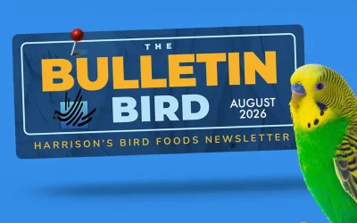 THE BULLETIN BIRD August 2026
