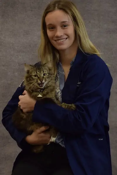 University of Illinois College of Veterinary Medicine